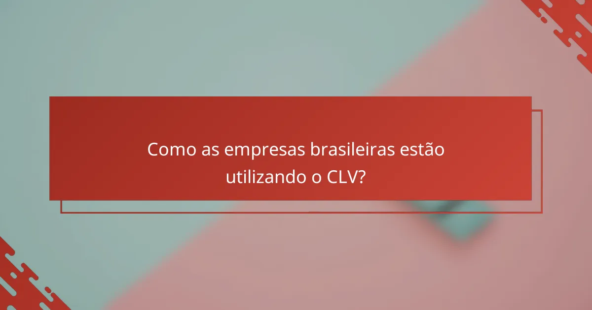 Como as empresas brasileiras estão utilizando o CLV?